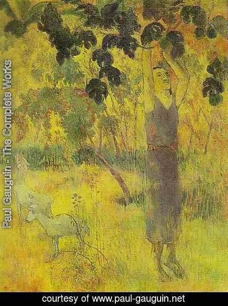 Paul Gauguin - Man Picking Fruit from a Tree