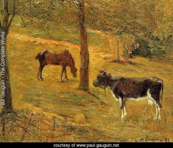 Horse And Cow In A Field