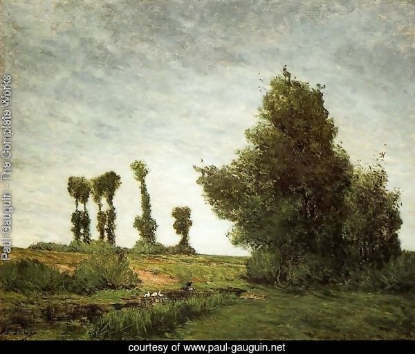 Landscape With Poplars