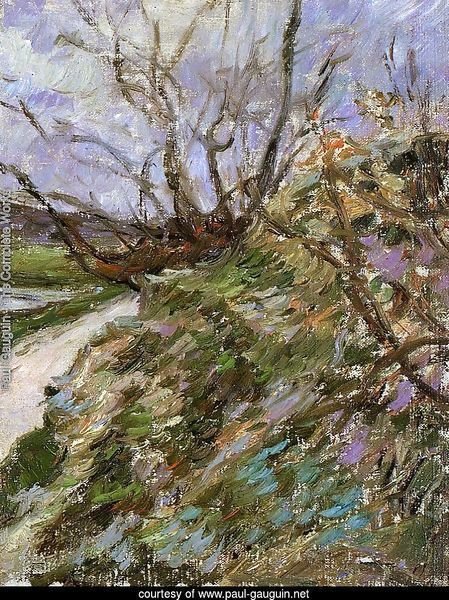 River Bank In Winter (study)