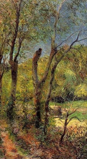 Paul Gauguin - Willows