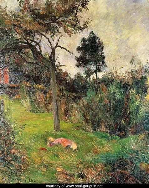 Young Woman Lying In The Grass
